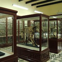 Ghar Dalam Museum