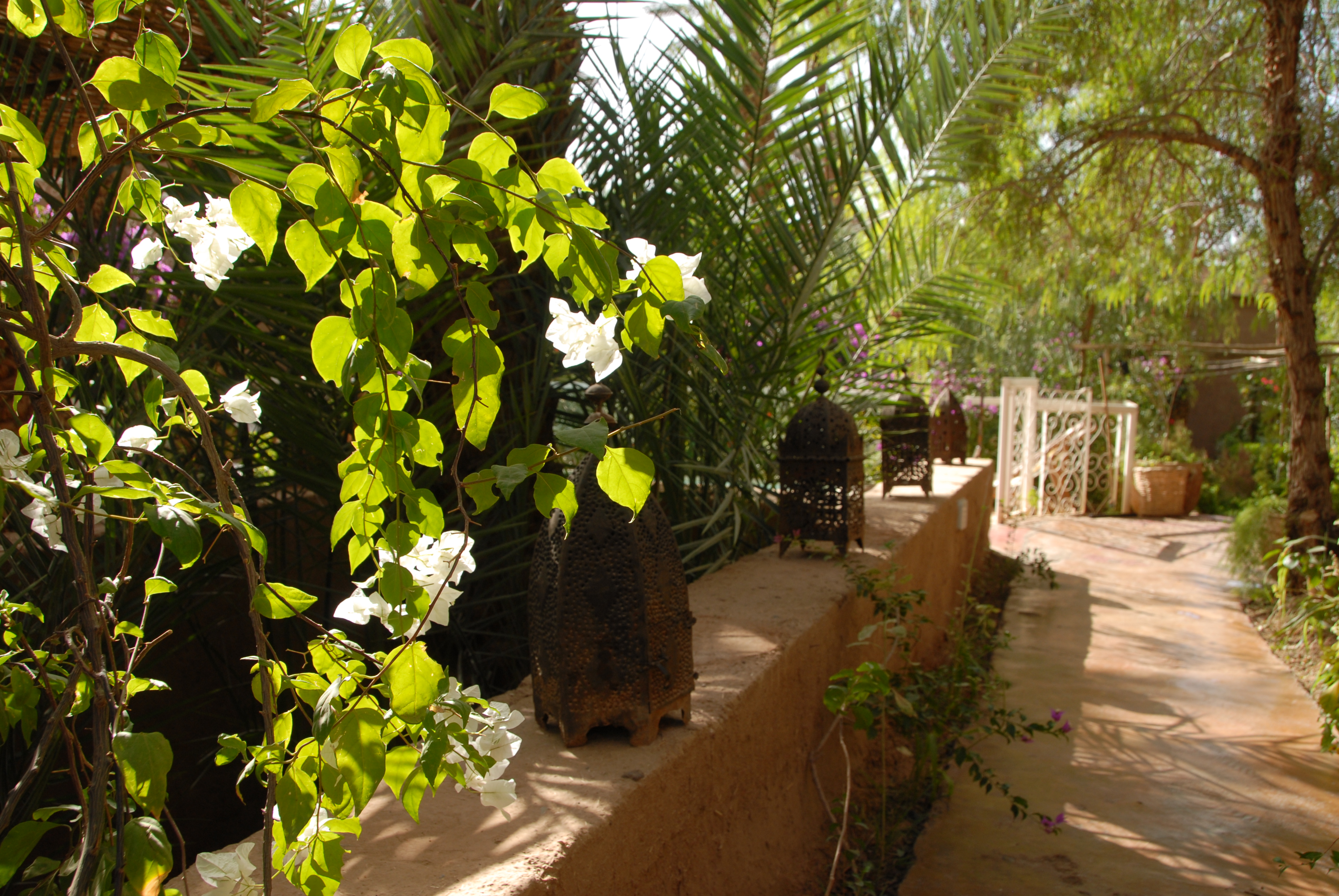 Hotel photo 53 of Villa Zagora Ma Villa au Sahara.