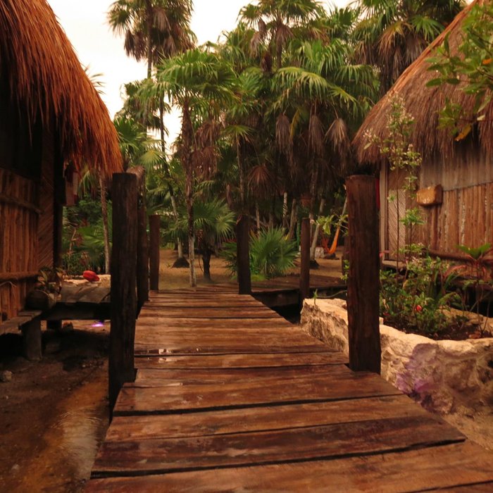 cabanas tulum tripadvisor