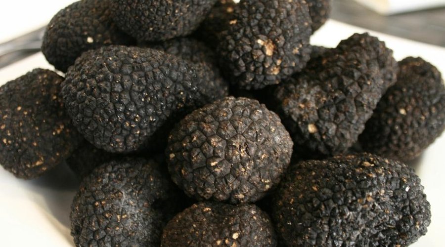 vive la truffe....