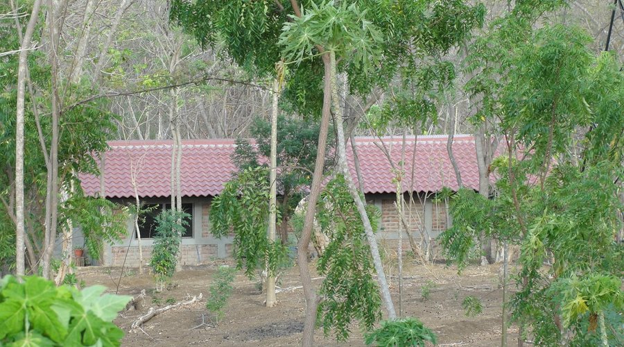 Jungle Cabanas at Rancho Cecilia