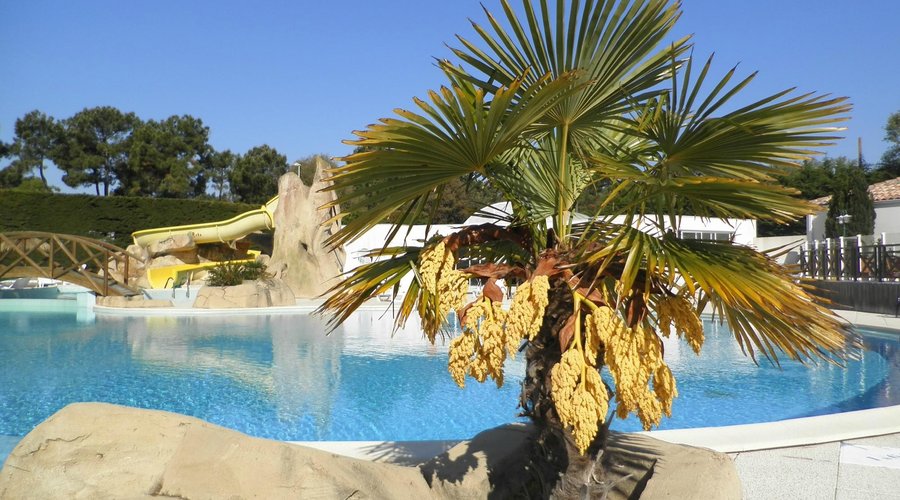 La piscine extérieure