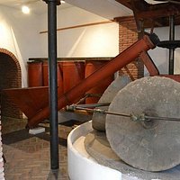 Olive Press
