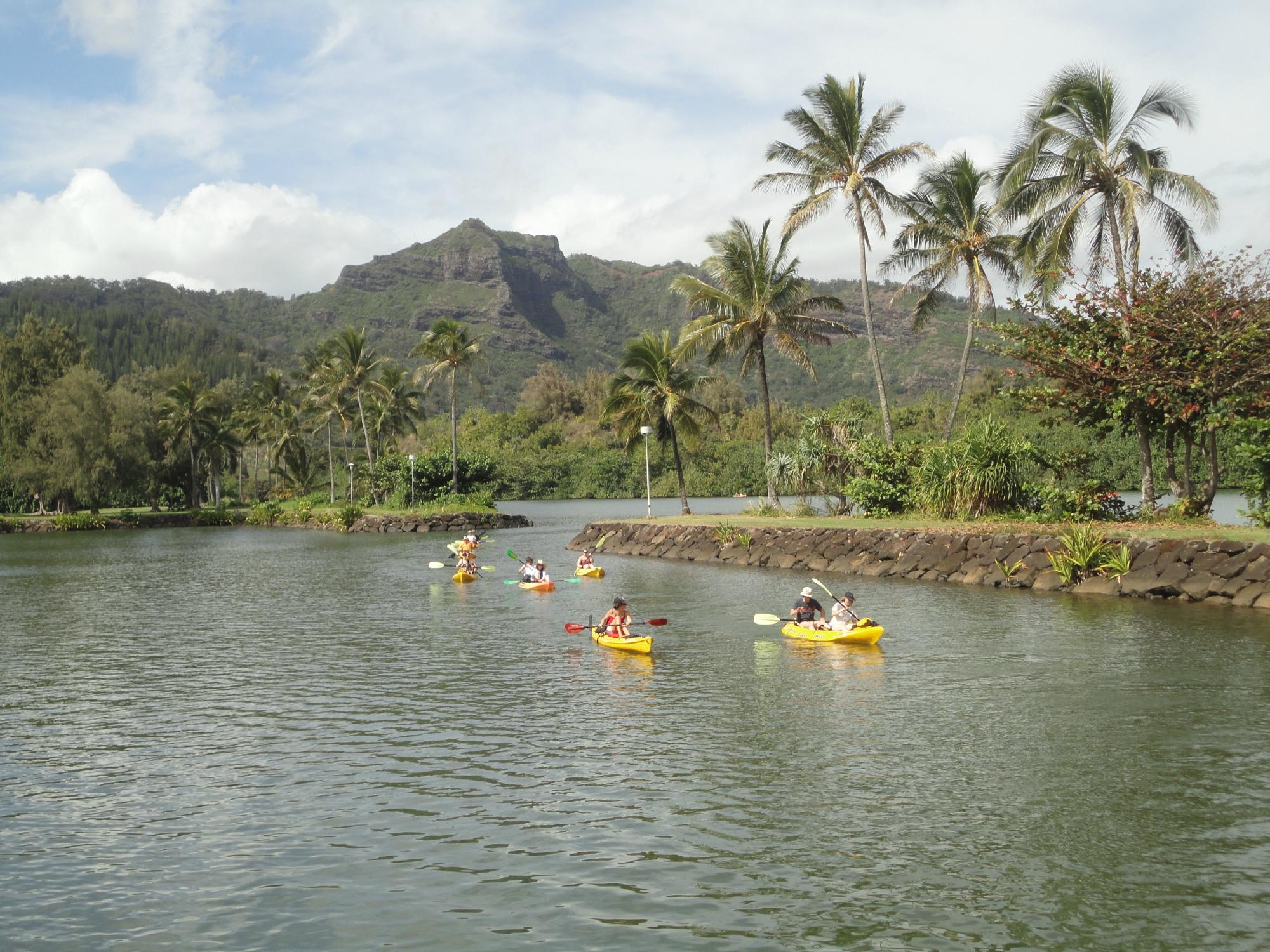 Wailua river and secret falls outlet kayak and hiking tour