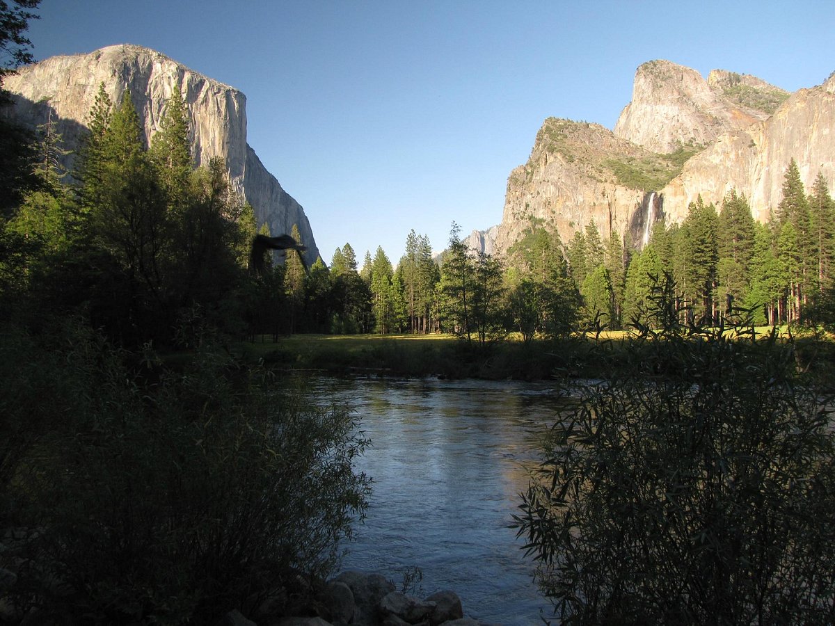 Yosemite Valley Floor Tour All You Need To Know Before Go With Photos