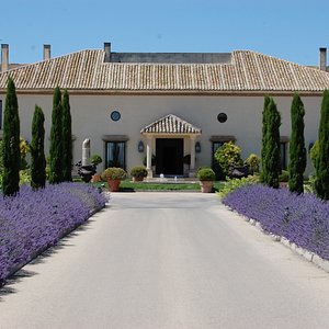 Bodegas Y Vinedos En Provincia De Toledo Echa Un Vistazo A 10 Bodegas Y Vinedos En Provincia De Toledo Tripadvisor