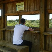 Observatorio