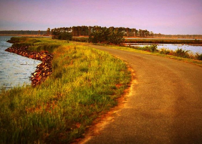Wildlife Drive