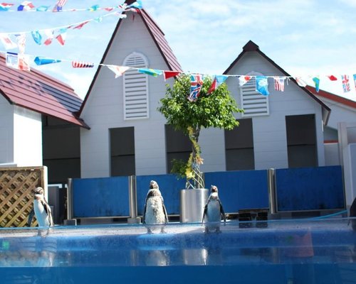 宮崎県で一番人気の動物園 水族館 トリップアドバイザー