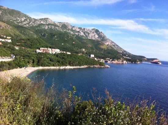 VILLA PALMA - Prices & Hotel Reviews (Budva, Montenegro)