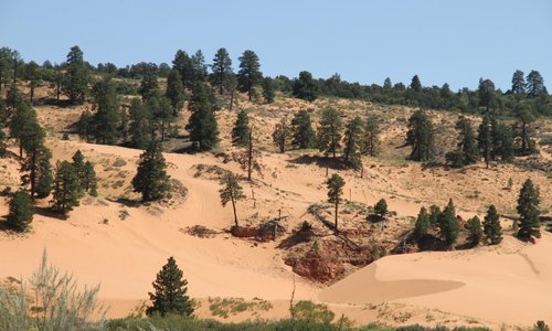 Coral Pink Sand Dunes