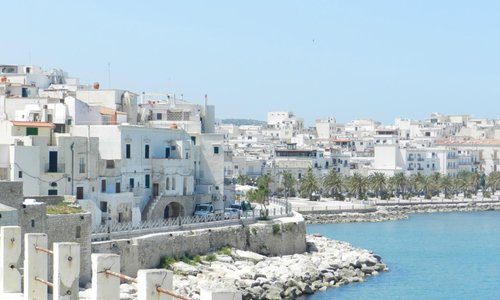 Vieste non ci sta, cittadini indignati smentiscono: “Nessuna festa per il boss, era un compleanno”