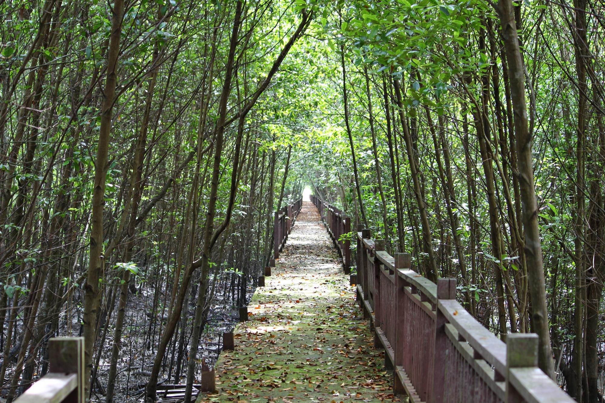 Kuala Selangor Nature Park (Taman Alam Kuala Selangor) - 2023 Alles Wat ...