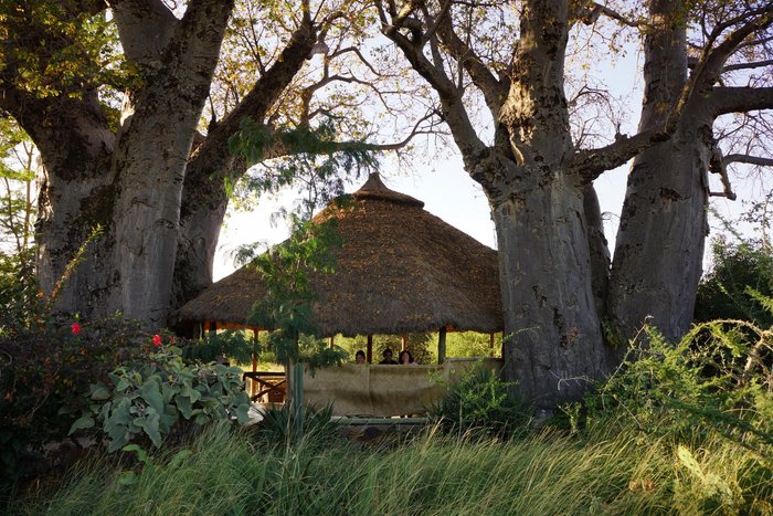 OL MESERA TENTED CAMP - Prices & Campground Reviews (Lake Manyara National Park, Tanzania)