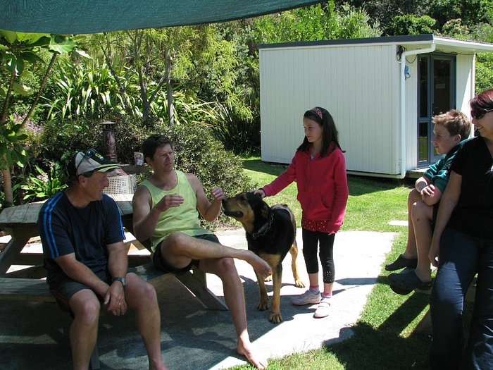 are dogs allowed at cable bay