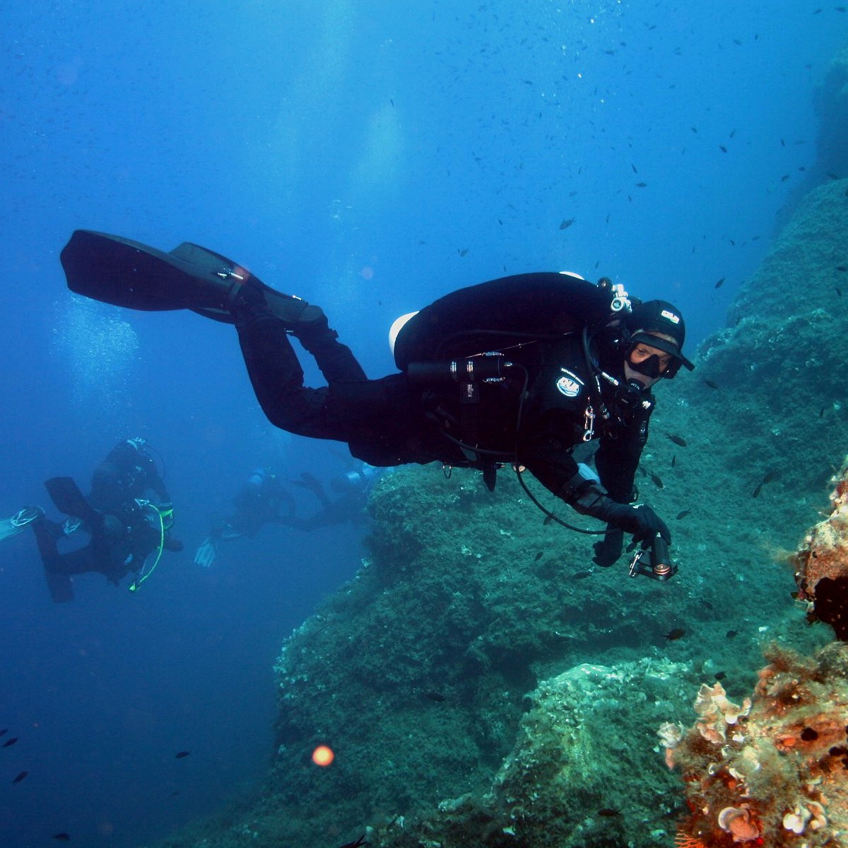 Big Blue Divers Rome - All You Need to Know BEFORE You Go