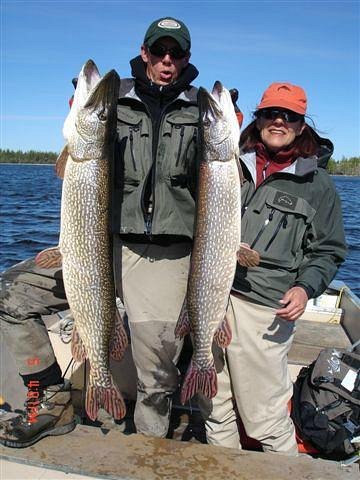 Queen's 50 inch Northern Pike - Picture of Trout Rock Lodge, Yellowknife -  Tripadvisor