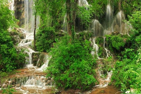 2024 Colorado Bend State Park   Colorado Bend State Park 