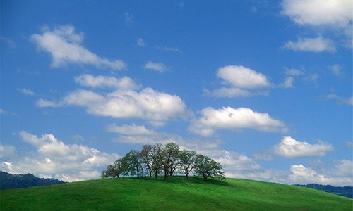 Napa Valley Hillside by Charles O'Rear (Copyright Charles O'Rear)