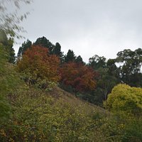 scenic countryside
