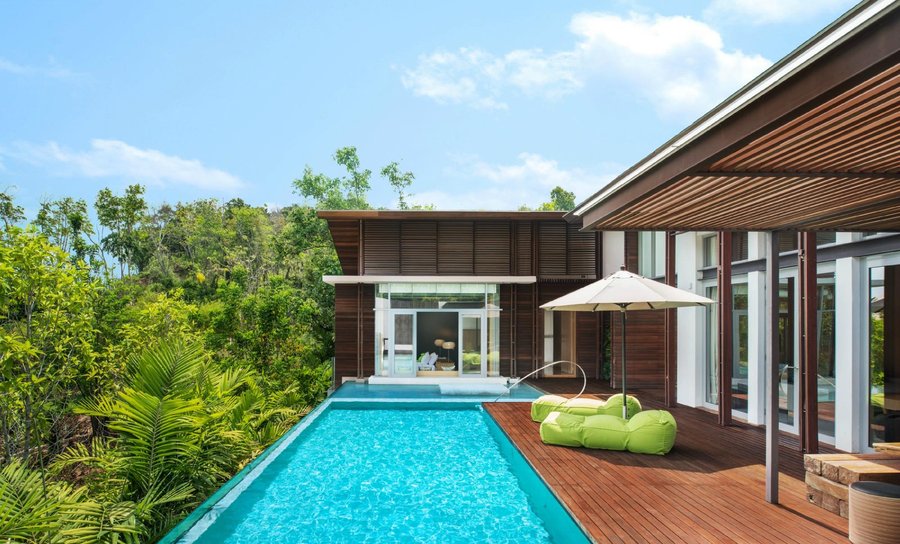 WOW Jungle Oasis