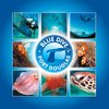 BlueDivePortDouglas