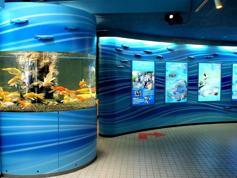 21年 さいたま水族館 行く前に 見どころをチェック トリップアドバイザー