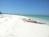 travelbug777_11