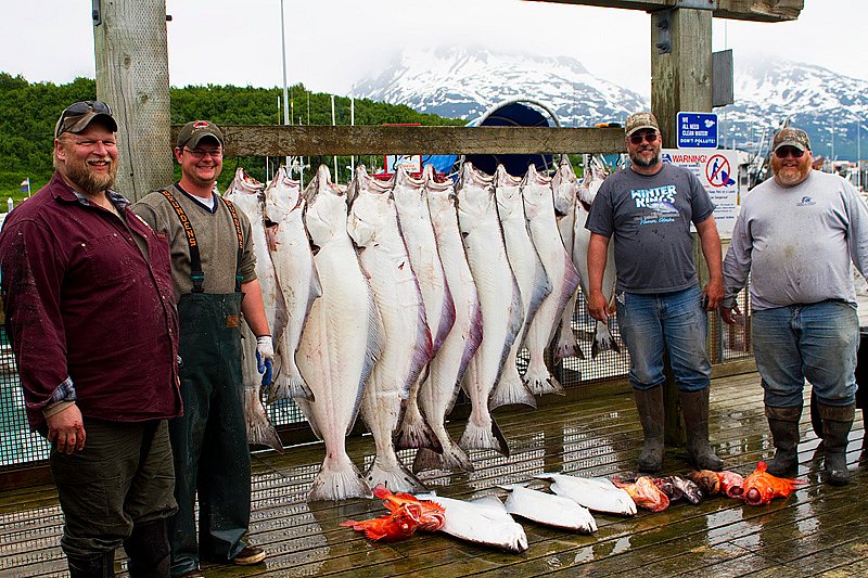 Valdez Outfitters - Day Tours - All You Need to Know BEFORE You Go