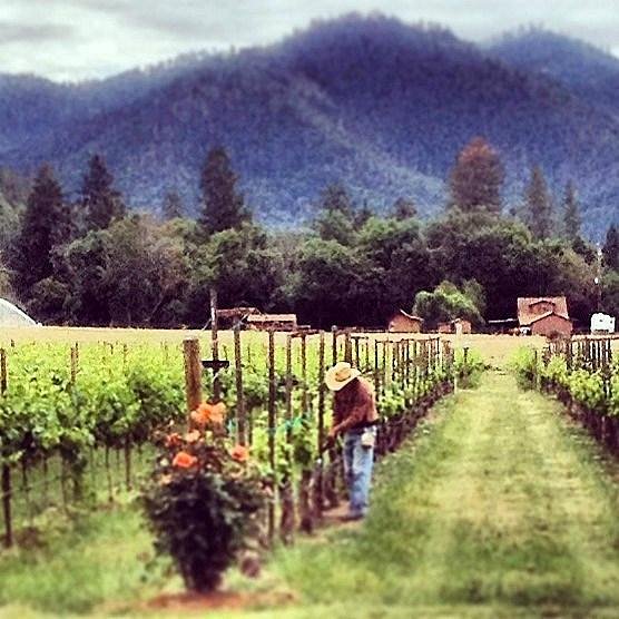 wine tours in medford oregon