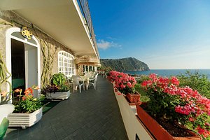 Casa Del Sole in Isola d'Ischia, image may contain: Balcony, Potted Plant, Plant, Hotel