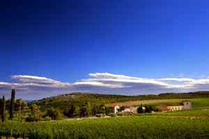 Château l'Hospitalet Wine Resort Beach & Spa in Narbonne, image may contain: Field, Sky, Nature, Outdoors