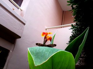 Reisende