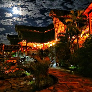 Moonshines over the Hacienda