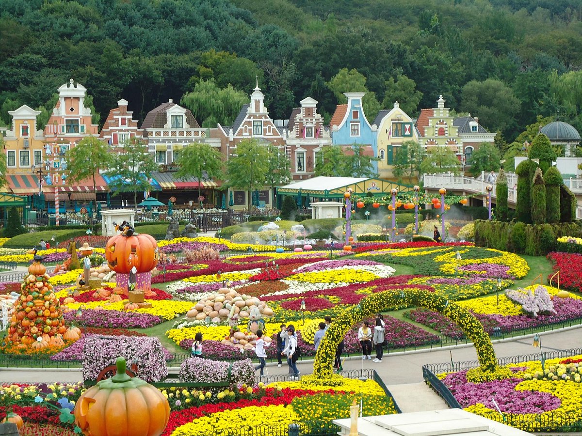 Everland (Yongin, Hàn Quốc) - Đánh giá - Tripadvisor