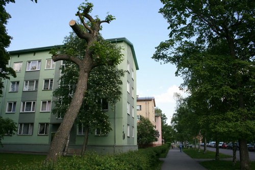 Stroomi Residents image