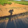 travelswithmiha