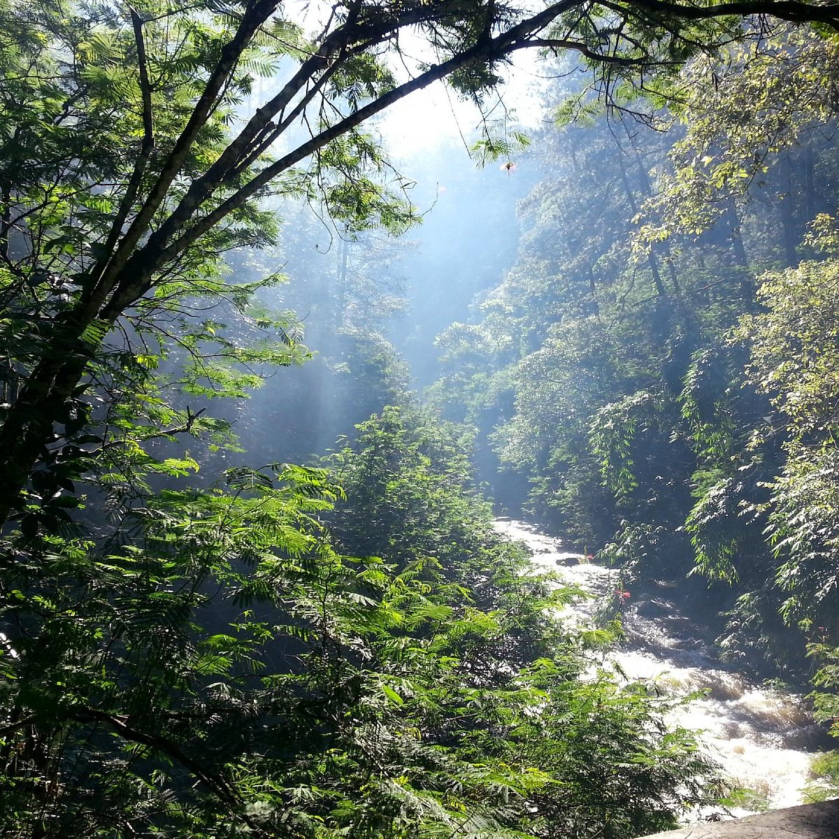 Forest Park Conservation Area Tahura Ir. H. Juanda (Bandung) - 2023 Alles  Wat U Moet Weten Voordat Je Gaat - Tripadvisor
