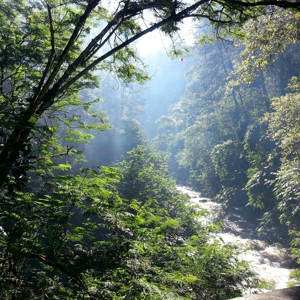 Forest Park Conservation Area Tahura Ir. H. Juanda (Bandung) - 2023 Alles Wat U Moet Weten Voordat Je Gaat - Tripadvisor