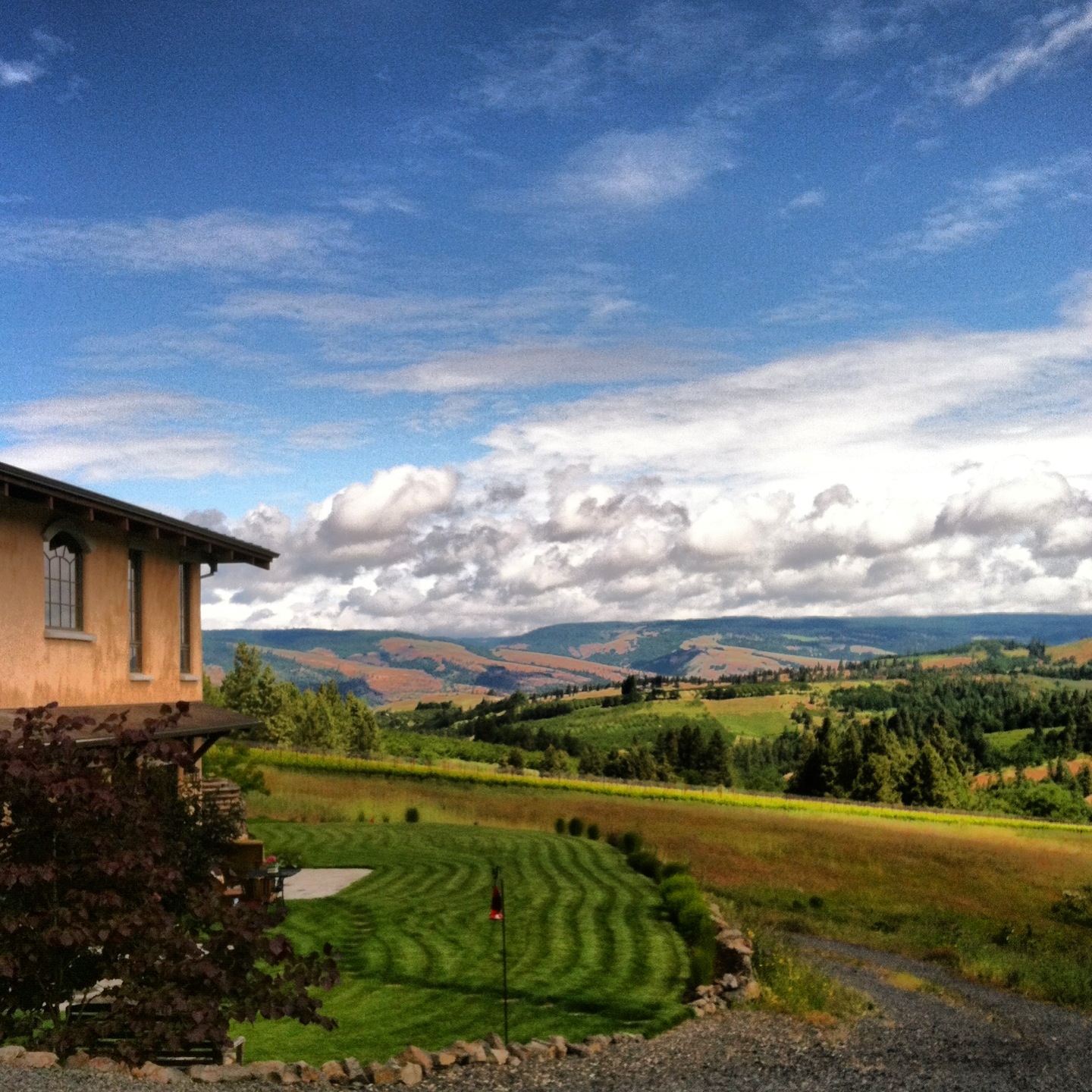 THREE SLEEPS VINEYARD B & B - B&B Reviews (Mosier, Oregon)