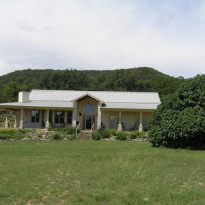 The main house with the fig tree
