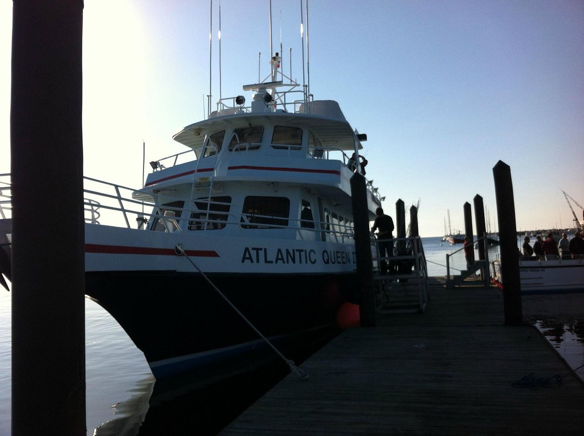 Atlantic Queen II Deep Sea Fishing - All You Need to Know BEFORE You Go  (2024)