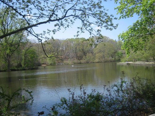 Stony Brook Map