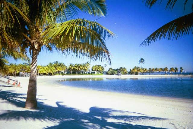 Matheson hammock park on sale beach