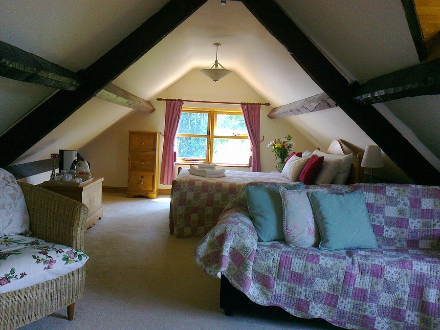 great trewern bed and breakfast updated 2021 prices b b reviews and photos llandrindod wells tripadvisor