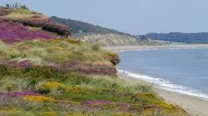 The beach