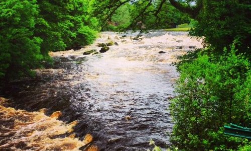The River Runs Through It!
