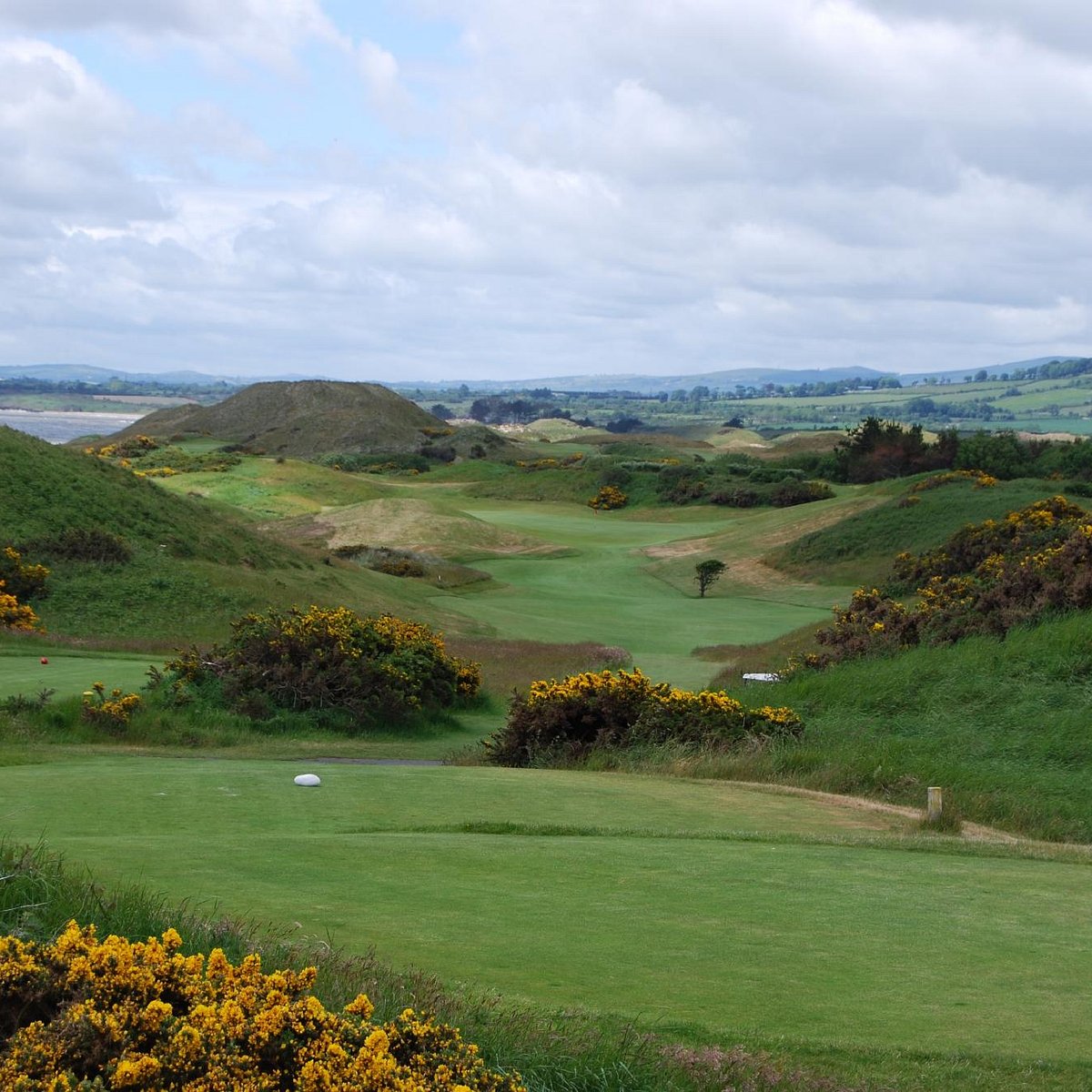 The European Club (Wicklow) - All You Need to Know BEFORE You Go
