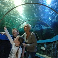 Underwater walk-through tunnel