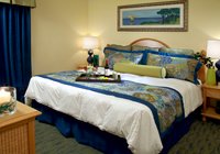 Hotel photo 42 of Blue Tree Resort at Lake Buena Vista.